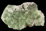 Stepped, Green Fluorite on Quartz - Fluorescent #94379-1